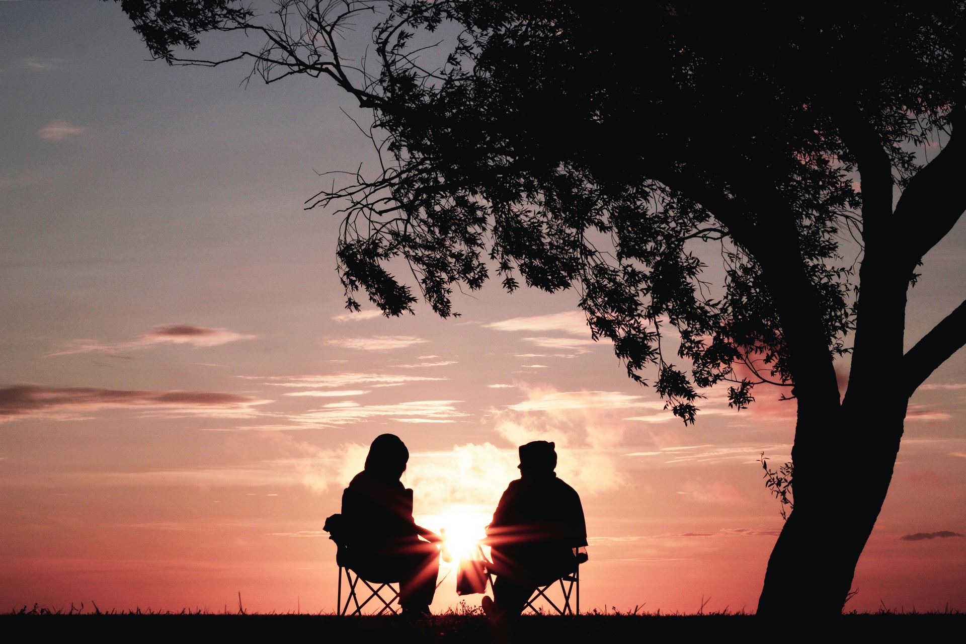 two people sitting under a tree