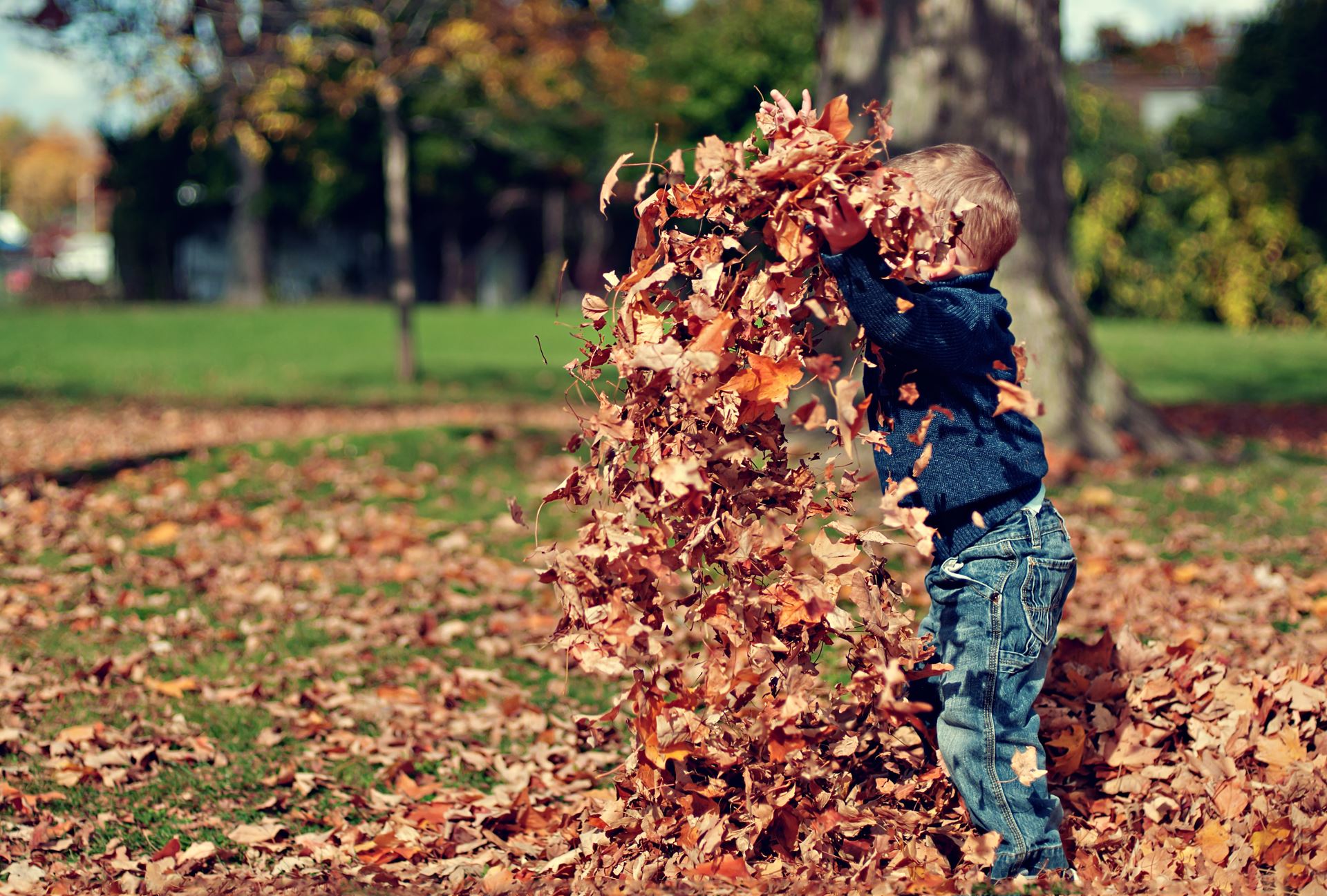 a person standing in front of a tree